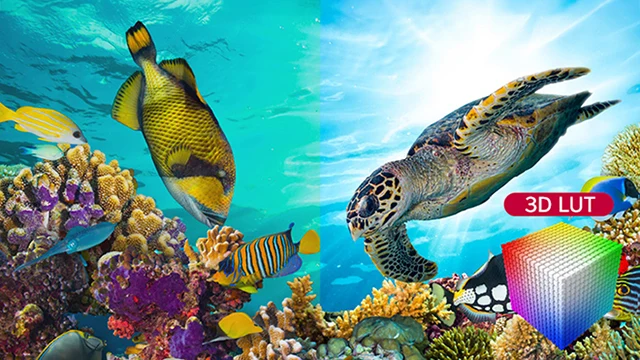 The left screen shows an underwater scene that appears muted due to murky colors, while the OLED Pro display on the right, which supports 3D LUT, delivers a more vivid and accurate representation of the underwater environment.
