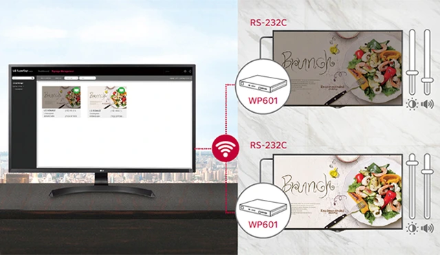 Illustration of LG WP601 RS-232C display control